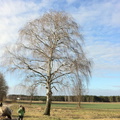 2011 01 16 Gru  nkohlwanderung zur Kla  ranlage Lachendorf 008